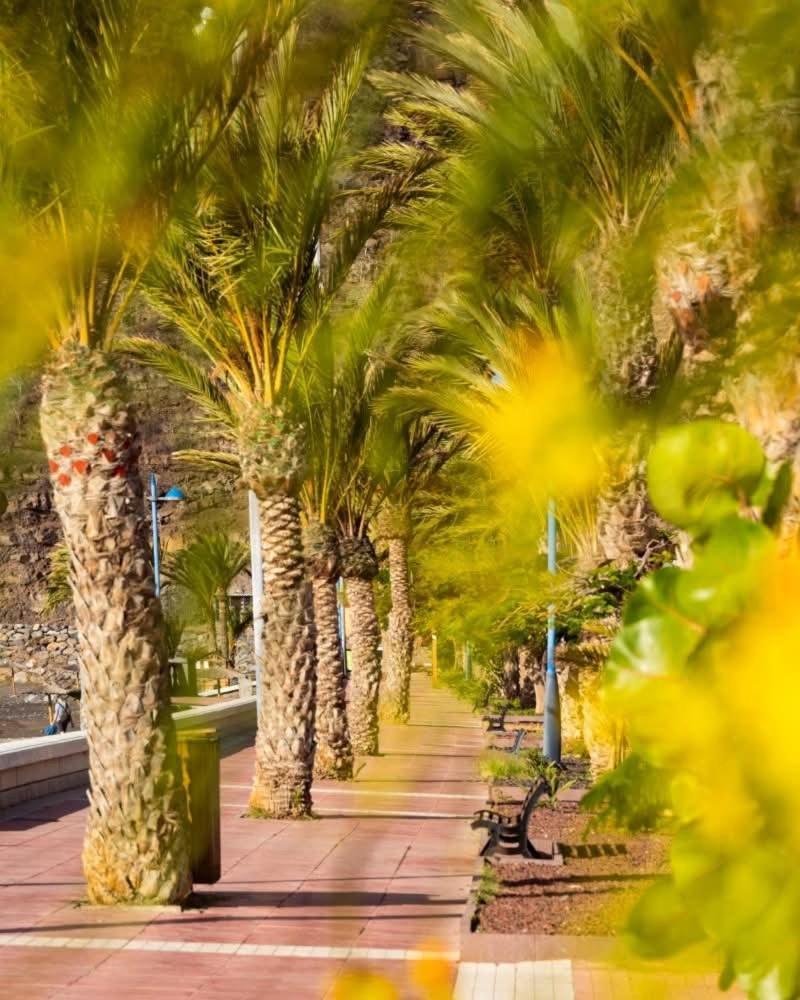 Ferienwohnung El Balcon De Colon San Sebastián de la Gomera Exterior foto